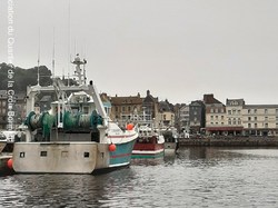 mini_sortie-a-honfleur-60d6d6aa8d6c5.jpg